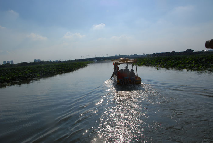 Ϧ�������ӭ�������ϰ�